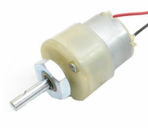 Gear Motor 100 RPM